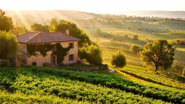 Se connecter à l'ENT en Occitanie : astuces pratiques